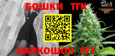 шишки Северобайкальск